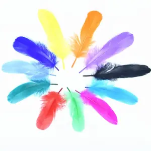 SET 6 PLUMAS DECORATIVAS