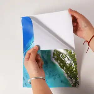 fotografico adhesivo